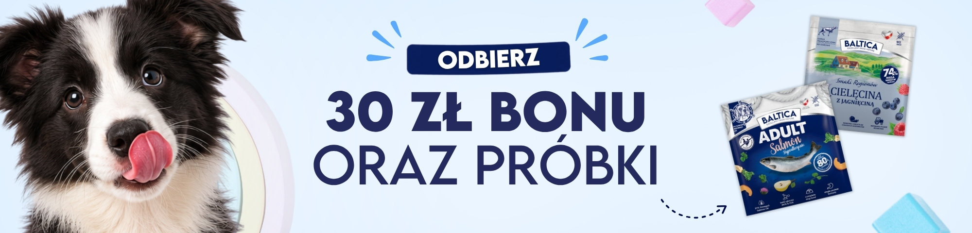 Tło promocyjne Baltica